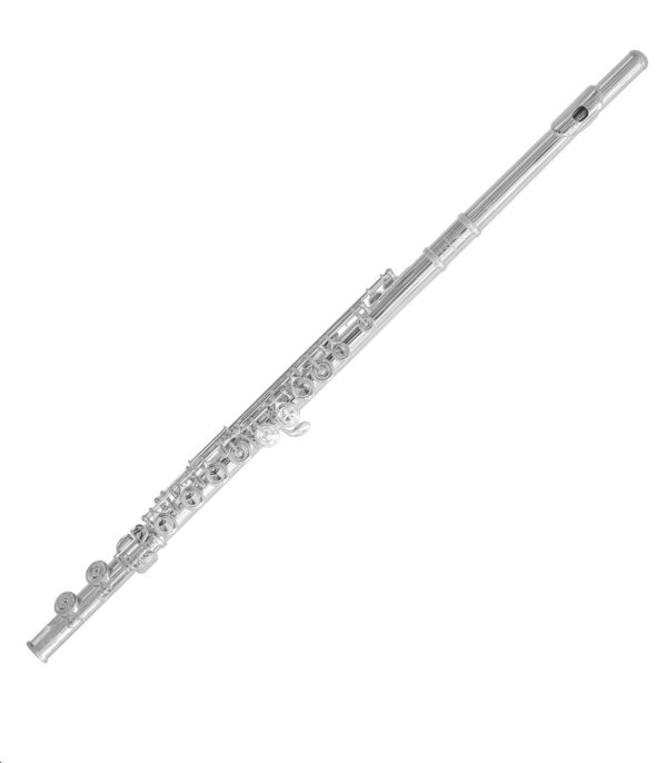 Trevor James | 3042EASLRW 10XE-P Flute with .925 Sterling Silver Lip Plate & Riser